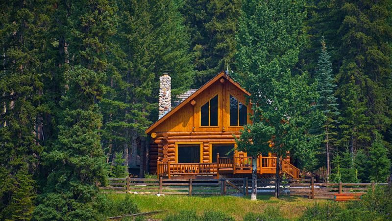 Log Cabin Construction Promotions
