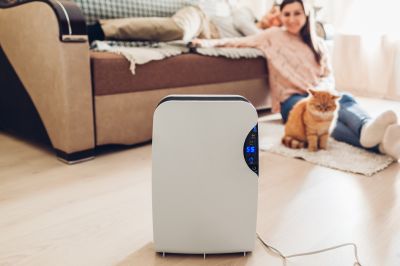 Dehumidifier Replacement in Annapolis, MD